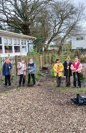 Axminster Community Primary Academy willow tunnel 27th March 2026.jpg