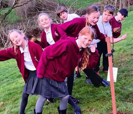 School tree planting