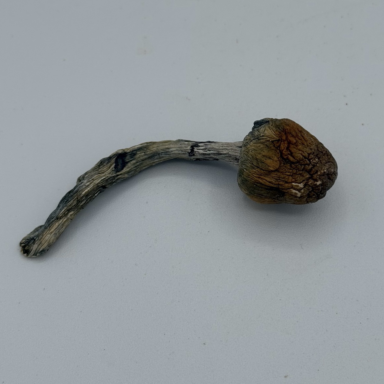 B+