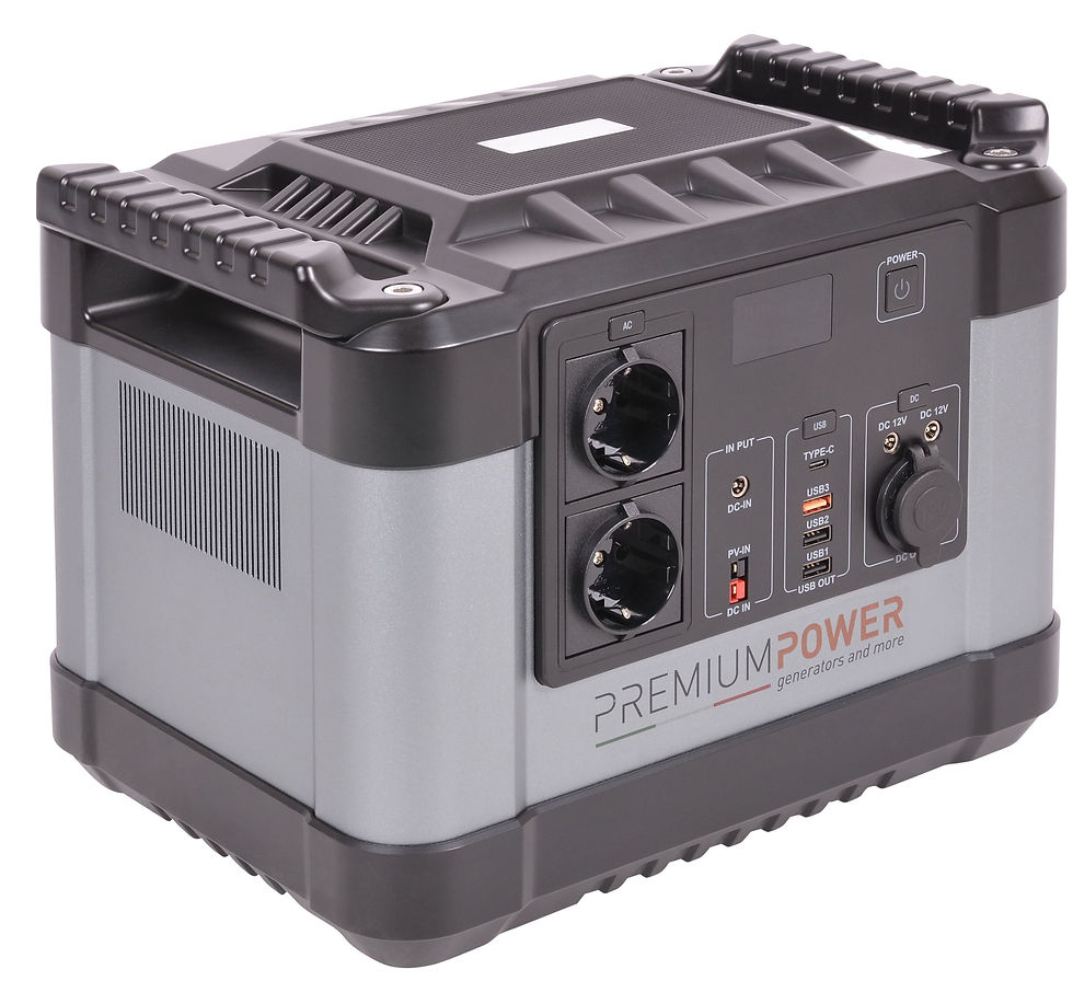 Miniatura: PB 1000