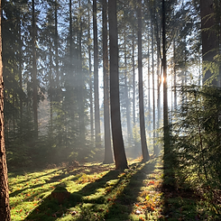 Schijn je licht