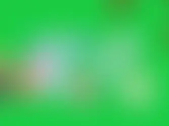 cachorrito clasificando huevos de colores en el juego educativo Kidduca 3D para niños