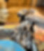 Screenshot 2023-10-09 191333.jpg