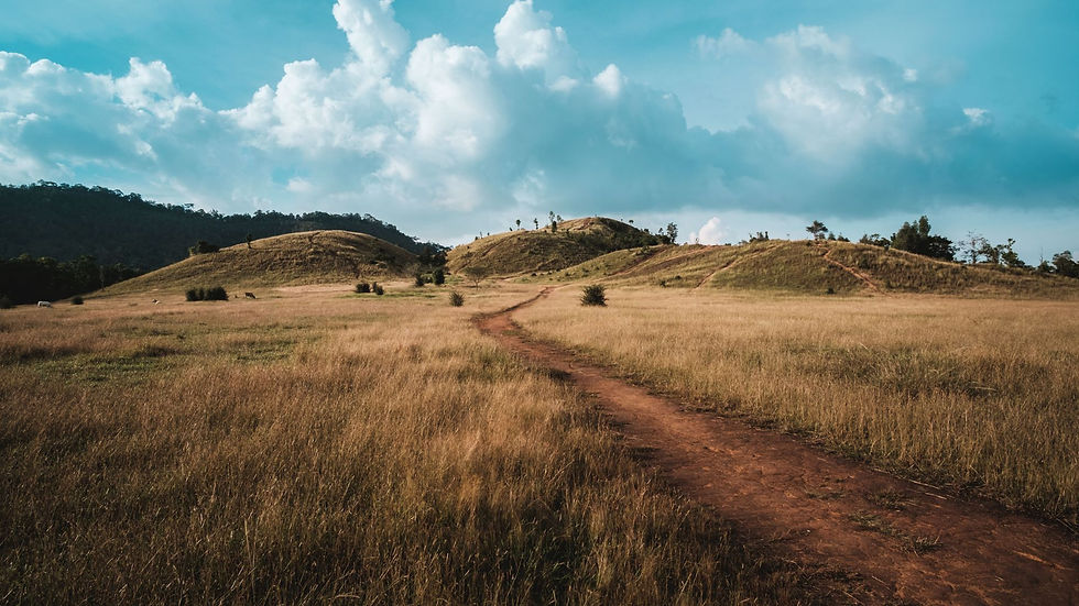 Unwavering will to keep going