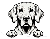 Large dog icon indicating grooming services for large breeds at Parfait Paws