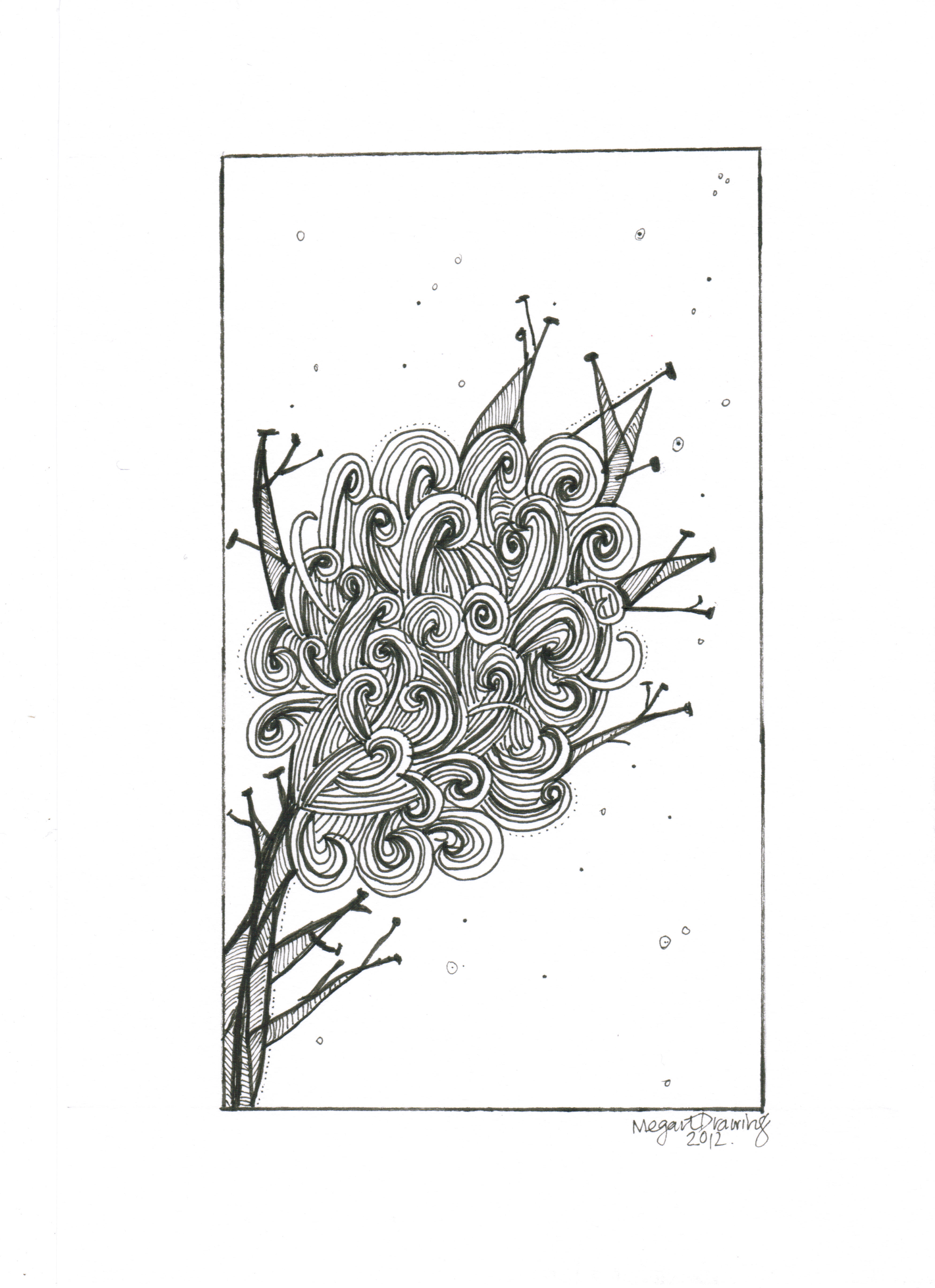Bottlebrush.jpg