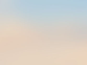 "Flow – Die Kraft des Loslassens"