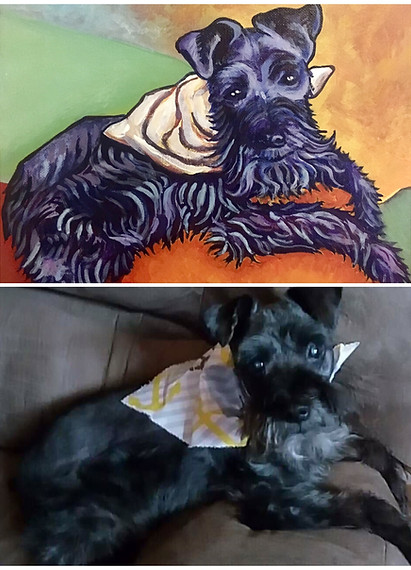 Commissioned pet portrait and photo of a black terrier.