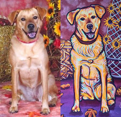 Original photo and colorful commission work of a tan dog.
