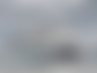 MSC Euribia conclui com sucesso testes de navegação.