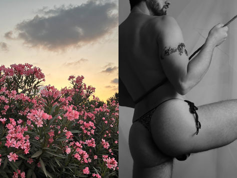 Mediterranean flora