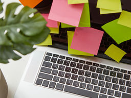 Routines vs Flexibility. Which One Makes Children Feel Safe?