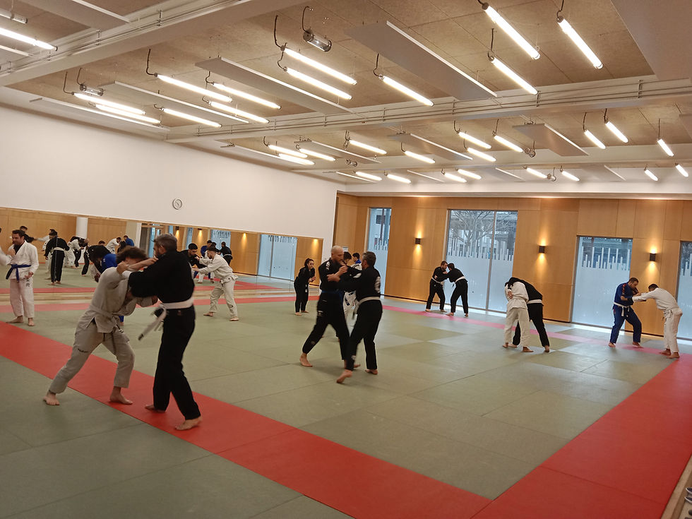 STAGE DE PROJECTION / OPEN MAT