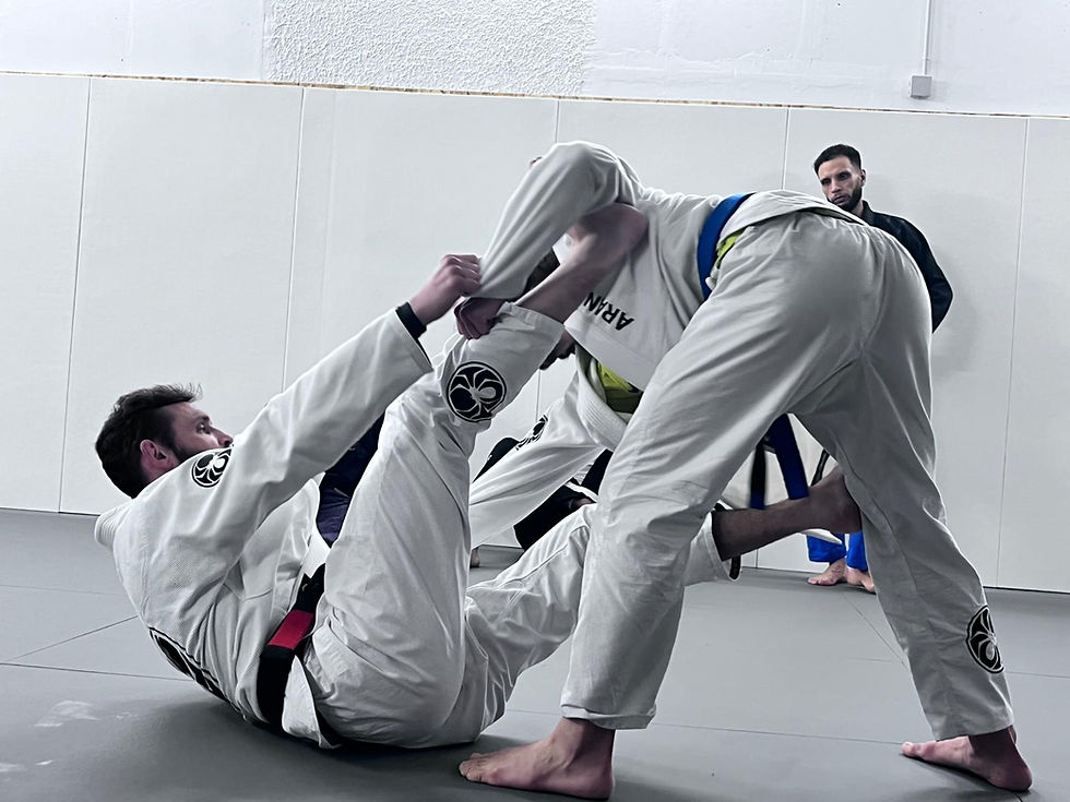 WhatsApp Image 2026-02-09 at 21.55.05.jpeg