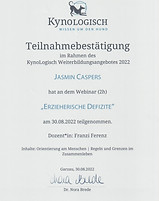 Scan 1.jpeg
