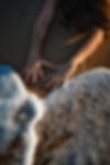 _DSC7997.jpeg