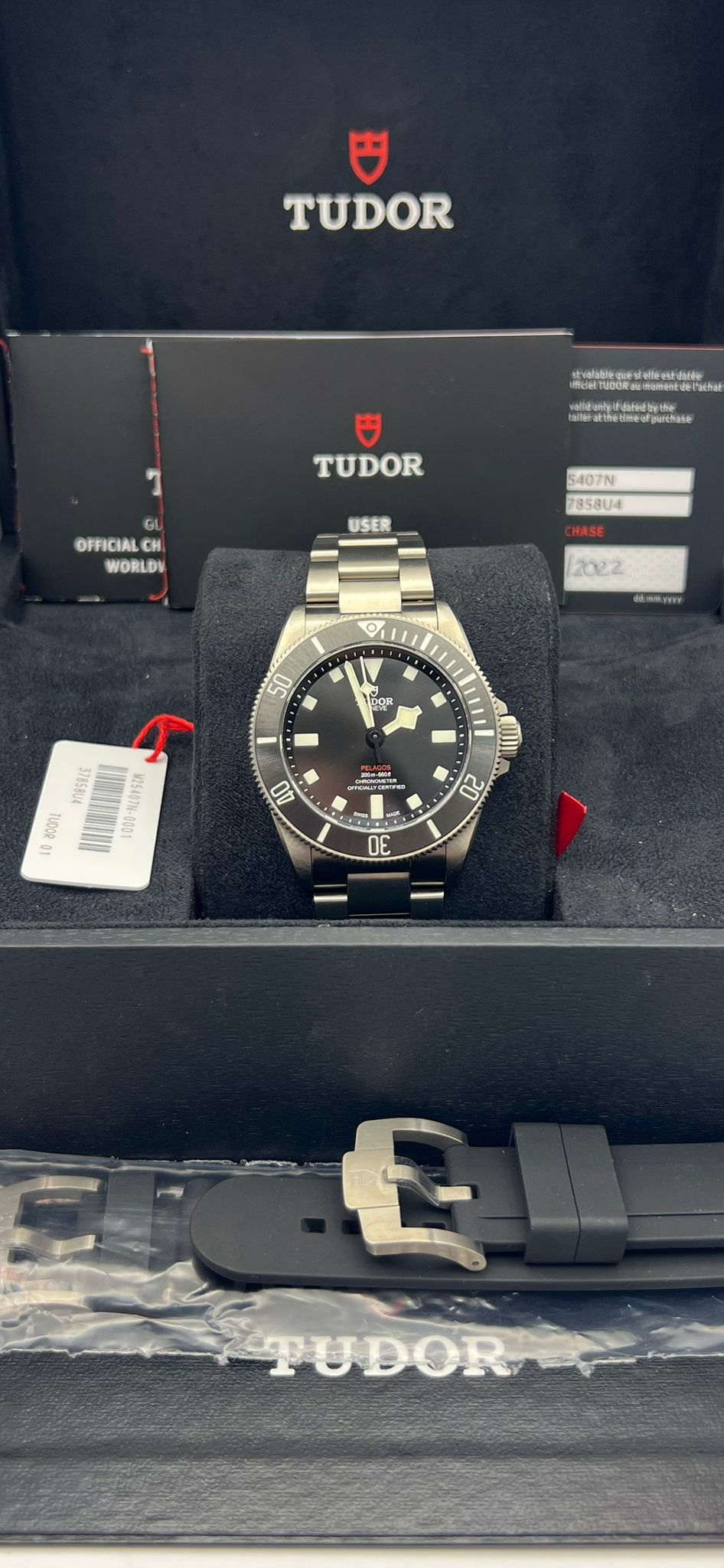 Thumbnail: Tudor Pelagos 39 – Ref. M25407N