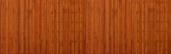 Fundo bambu.jpeg