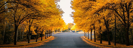 sherwood-oregon-sealcoating.jpg