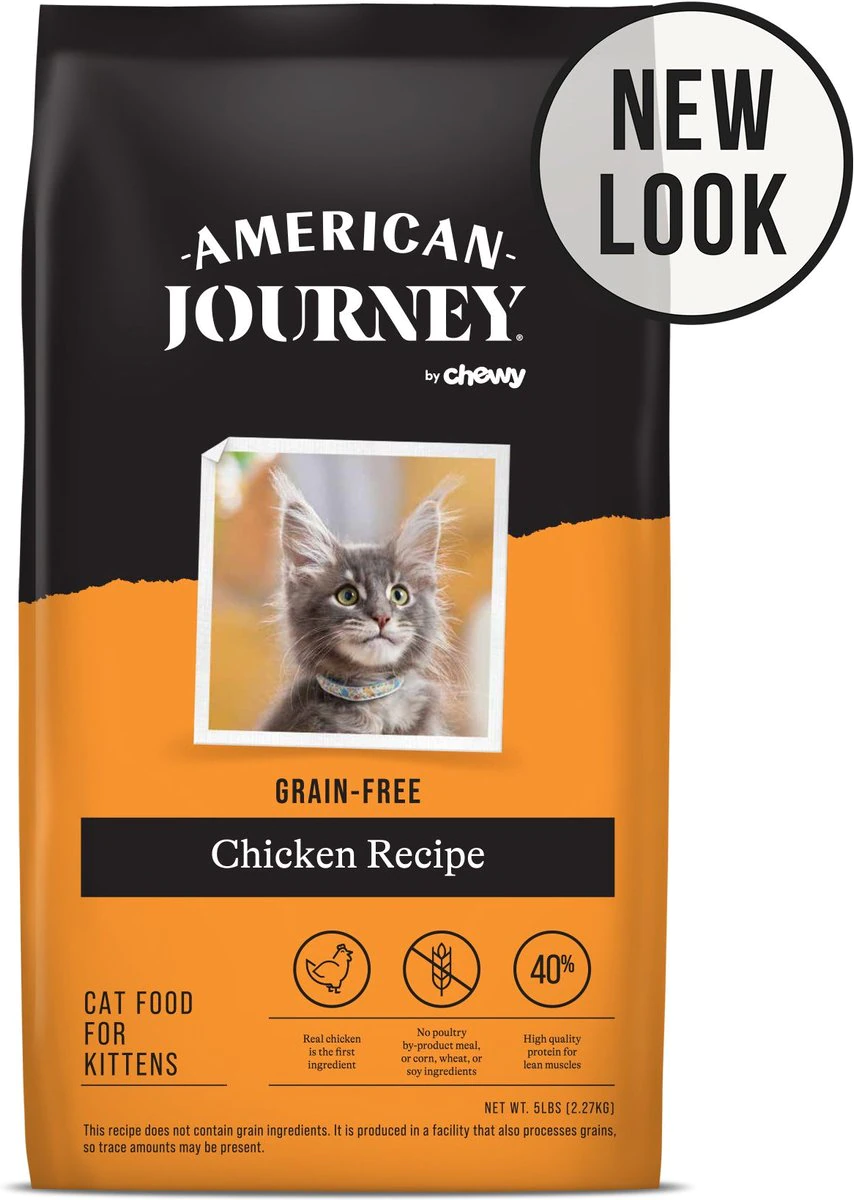 American Journey Kitten.webp