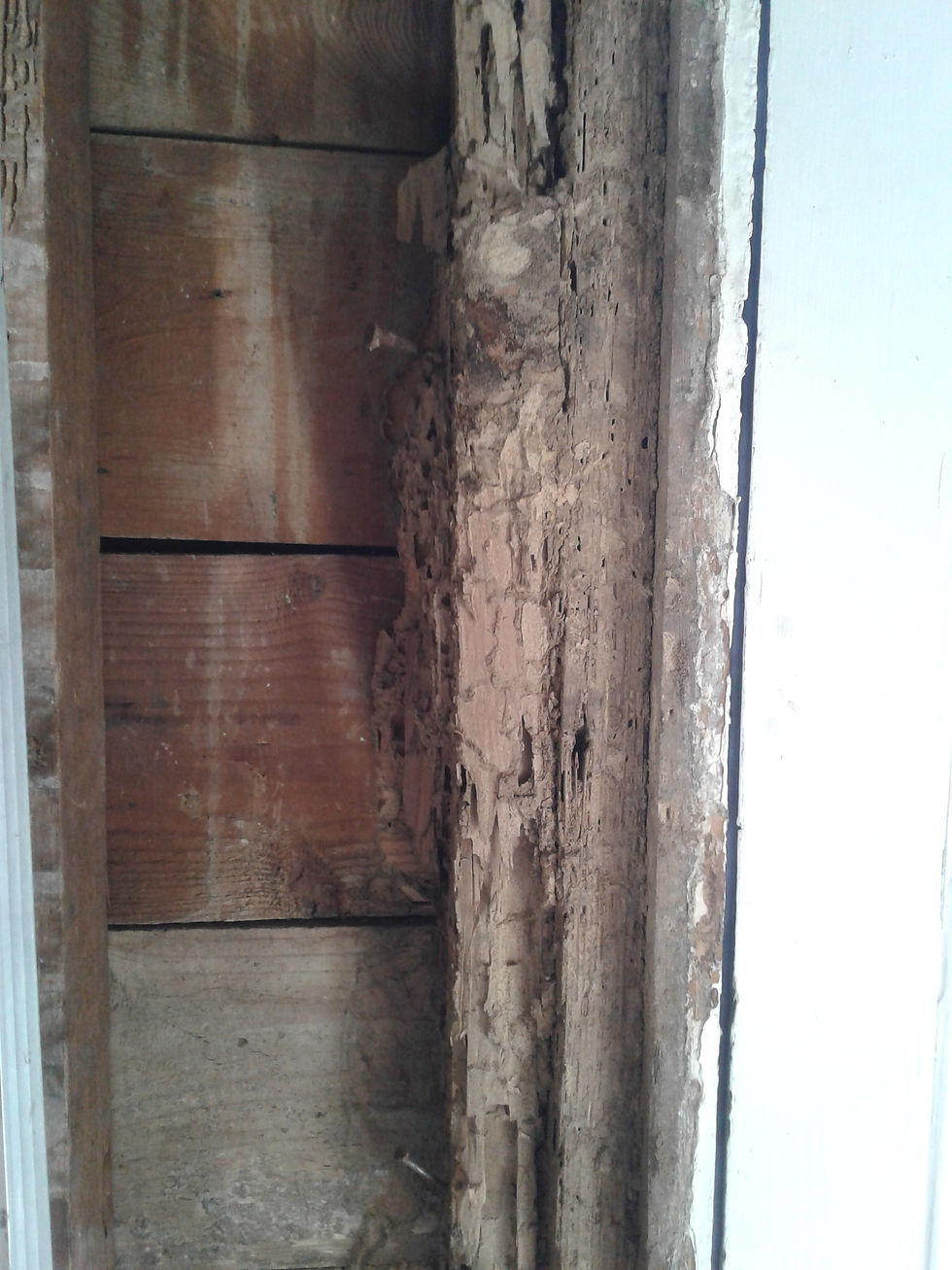 Damage, West Wall by Back Door