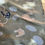 Thumbnail: Do fish wonder what we are doing to their oceans?