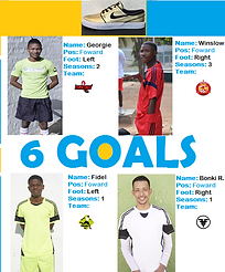 Top goal scorers.png