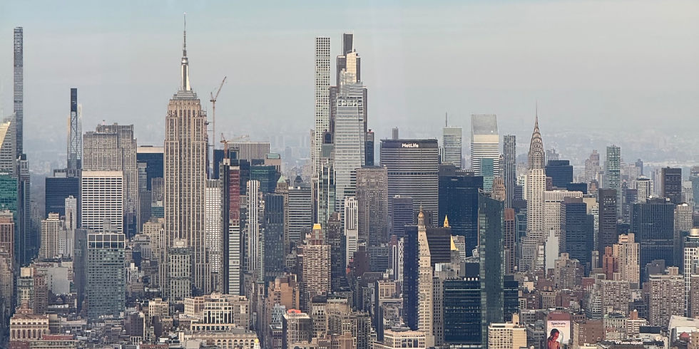 Finding Self through EMDR Therapy and a Trip to New York