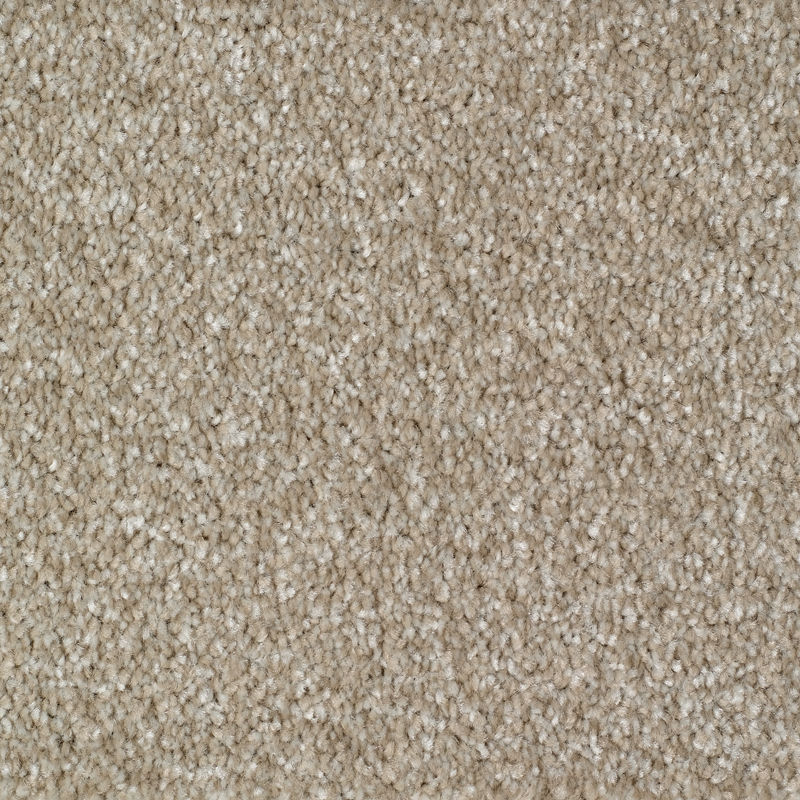 rye-wheat-20x20-main