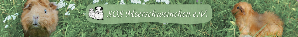 Banner SOS Meerschweinchen e.V.