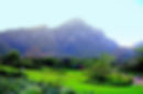 2 Kirstenbosch Gardens