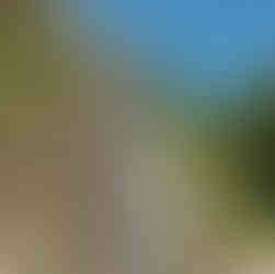 The structure of The Ride Down from the gorge to the cruise ship