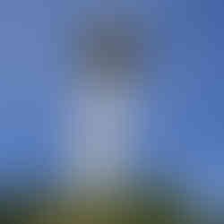 Skylon Tower building from the outside