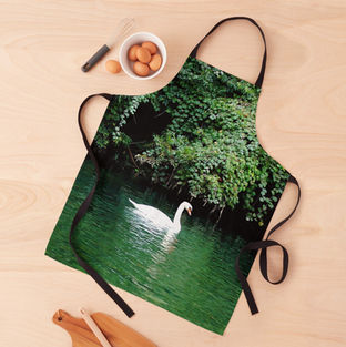 White swan on lake apron