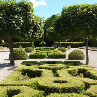 Green hedges and shrubs