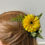 Thumbnail: Yellow gerbera clip