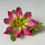 Thumbnail: Pink marguerite clip