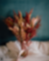 Dearest Love Photography .png