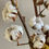 Thumbnail: Cotton Head Branches