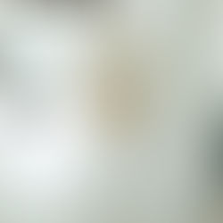 골드 패턴 뷔스티에