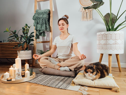 Rest, Reset, Restore: Holistic Support for Sleep, Stress and Emotional Balance