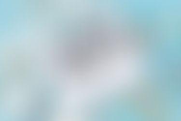 Why the 5 Pillars of Addiction Matter