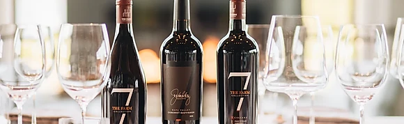 ŞİŞE KIRMIZI ŞARAPLAR/ BOTTLE OF RED WİNES