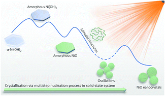 Nucleation in a Crystallizer