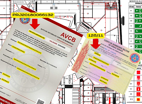 AVCB SITE.png