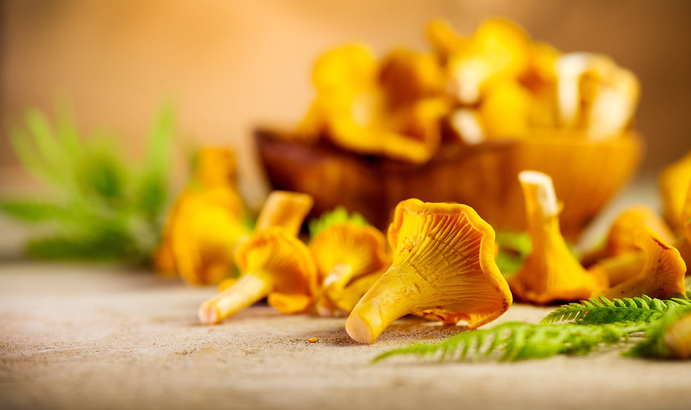 AdobeStock_215349540.jpeg