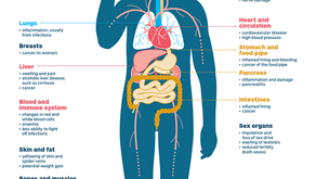 Long-term health effects of drinking  alcohol