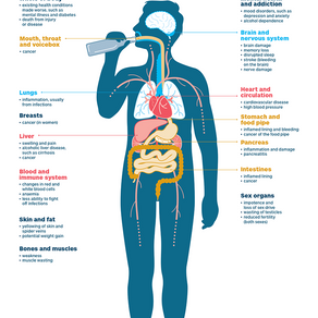 Long-term health effects of drinking alcohol