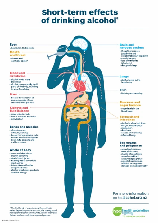 Short-term effects of drinking alcohol