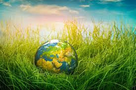 Why an entrepreneur should be aware of environmental issues when setting up a new business